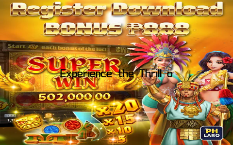 Experience the Thrill of Premium Gaming at PH City Casino Resort, where security and hospitality go hand in hand